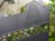 DSC05250-PhotoRoom.jpg