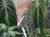 DSC05275-PhotoRoom.jpg