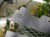 DSC05258-PhotoRoom.jpg