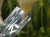 DSC05315-PhotoRoom.jpg