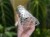 DSC05296-PhotoRoom.jpg