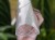 DSC05292-PhotoRoom.jpg