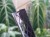 DSC05277-PhotoRoom.jpg