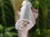 DSC05295-PhotoRoom.jpg