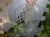 DSC05234-PhotoRoom.jpg