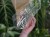 DSC05271-PhotoRoom.jpg