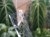 DSC05279-PhotoRoom.jpg