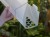 DSC05398-PhotoRoom.jpg