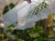 DSC05422-PhotoRoom.jpg