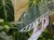 DSC05445-PhotoRoom.jpg