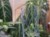 DSC05446-PhotoRoom.jpg