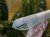 DSC05481-PhotoRoom.jpg