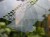 DSC05463-PhotoRoom.jpg