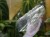 DSC05480-PhotoRoom.jpg