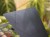 DSC05392-PhotoRoom.jpg