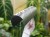DSC05407-PhotoRoom.jpg