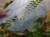 DSC05384-PhotoRoom.jpg