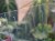 DSC05386-PhotoRoom.jpg