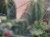 DSC05387-PhotoRoom.jpg