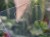 DSC05388-PhotoRoom.jpg