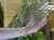 DSC05404-PhotoRoom.jpg