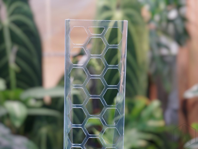 DSC05405-PhotoRoom.jpg