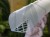 DSC05447-PhotoRoom.jpg