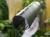 DSC05479-PhotoRoom.jpg