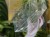 DSC05477-PhotoRoom.jpg