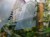 DSC05499-PhotoRoom.jpg