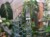 DSC05521-PhotoRoom.jpg