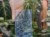 DSC05533-PhotoRoom.jpg