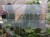 DSC05587-PhotoRoom.jpg
