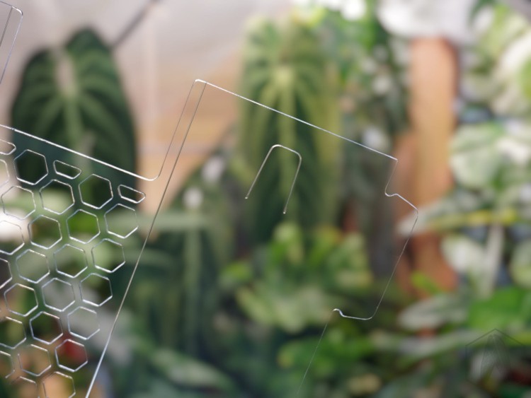 DSC05595-PhotoRoom.jpg