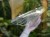 DSC05529-PhotoRoom.jpg