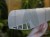 DSC05567-PhotoRoom.jpg