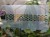 DSC05543-PhotoRoom.jpg