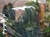 DSC05547-PhotoRoom.jpg