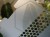 DSC05597-PhotoRoom.jpg