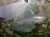 DSC05588-PhotoRoom.jpg