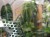 DSC05592-PhotoRoom.jpg