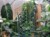 DSC05613-PhotoRoom.jpg