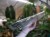 DSC05619-PhotoRoom.jpg