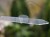 DSC05317-PhotoRoom.jpg