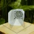 DSC06151.webp
