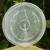 DSC06167.webp