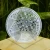 DSC06145.webp
