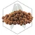 plagron euro pebbles-Photoroom (1).webp