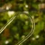 Palik U S (4).webp
