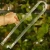 Palik U S (1).webp